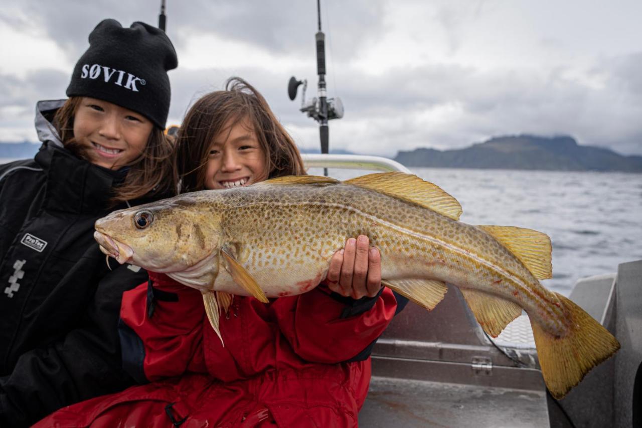 Hemmingodden Lofoten Fishing Lodge Болстад Екстериор снимка